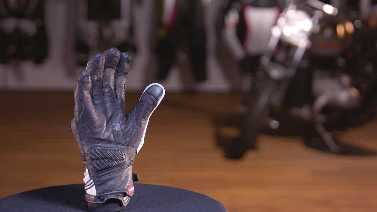 ハンプティルピア　プロモ ハンプティルピア プロモ ハンプティ・ルピア【デュエルマスターズ