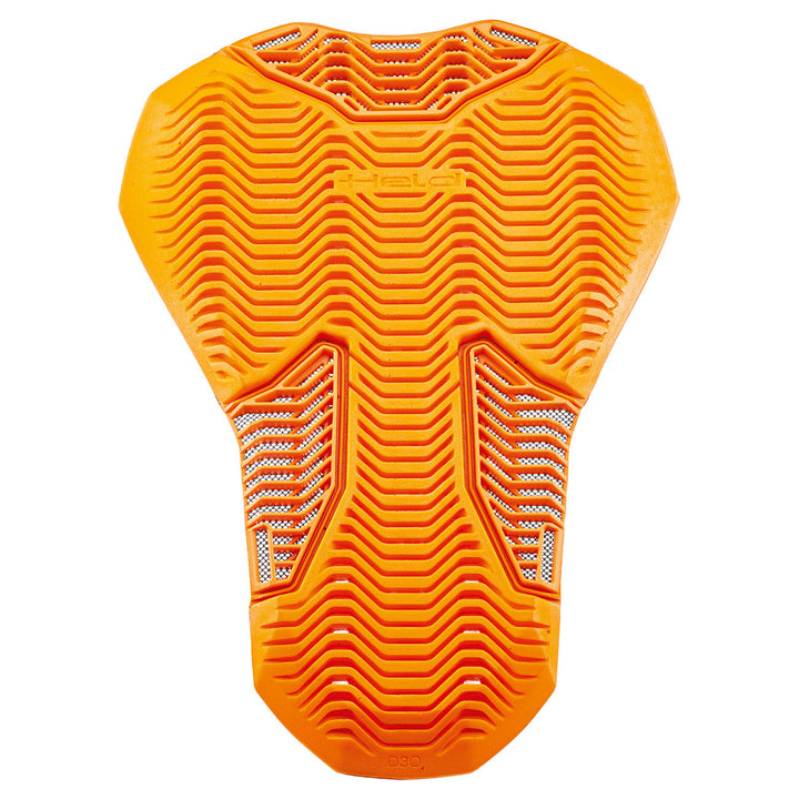 Held Exosafe by D30 Back Protector